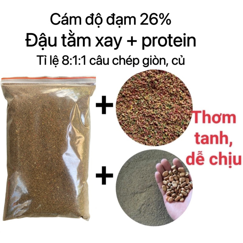 Cám chuyên chép ròn, chép củ