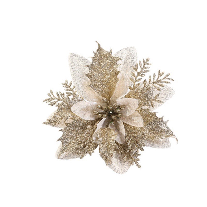 Bông hoa trạng nguyên Trang trí noel, làm oản, trang trí cây thông, Tết 2024