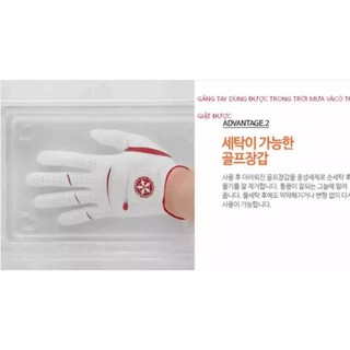 Găng tay kenichi golf 골프장갑