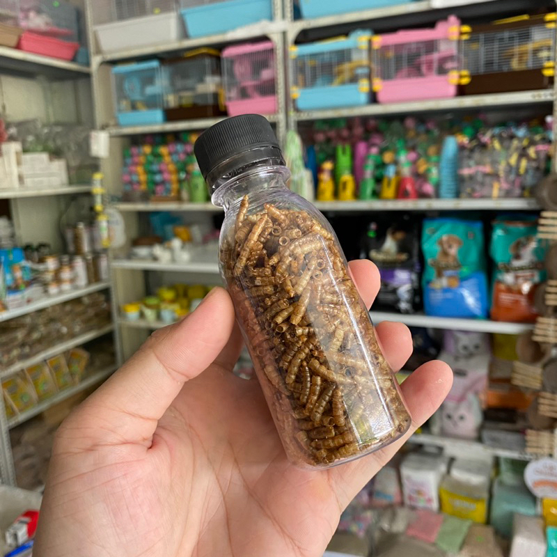 Đồ ăn hamster, SÂU SẤY cung cấp đạm