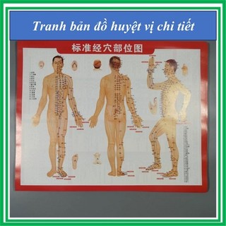 Bộ tranh châm cứu 1 tờ tiếng trung,tranh bản đồ huyệt chi tiết