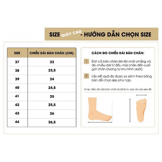 Giày  bot tăng chiều  cao 6cm  CS243