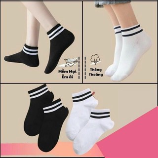 sỉ 10 đôi tất kẻ cổ hàn quốc coton đẹp loại 1