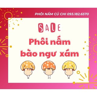 COMBO 5 PHÔI NẤM BÀO NGƯ XÁM (19.03 bắt đầu trồng)