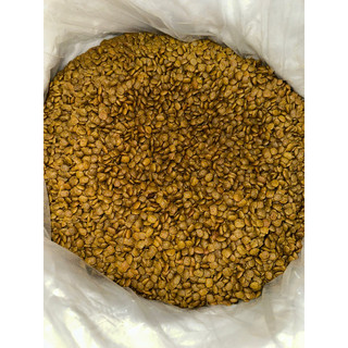 Hạt thức ăn mèo Royal Cat
