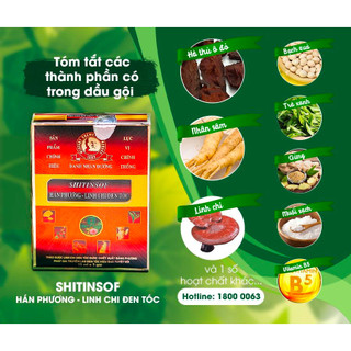 Dầu Gội Đen Tóc Shitinsof - Hán Phương Linh Chi (hộp 3 gói x 15ml)