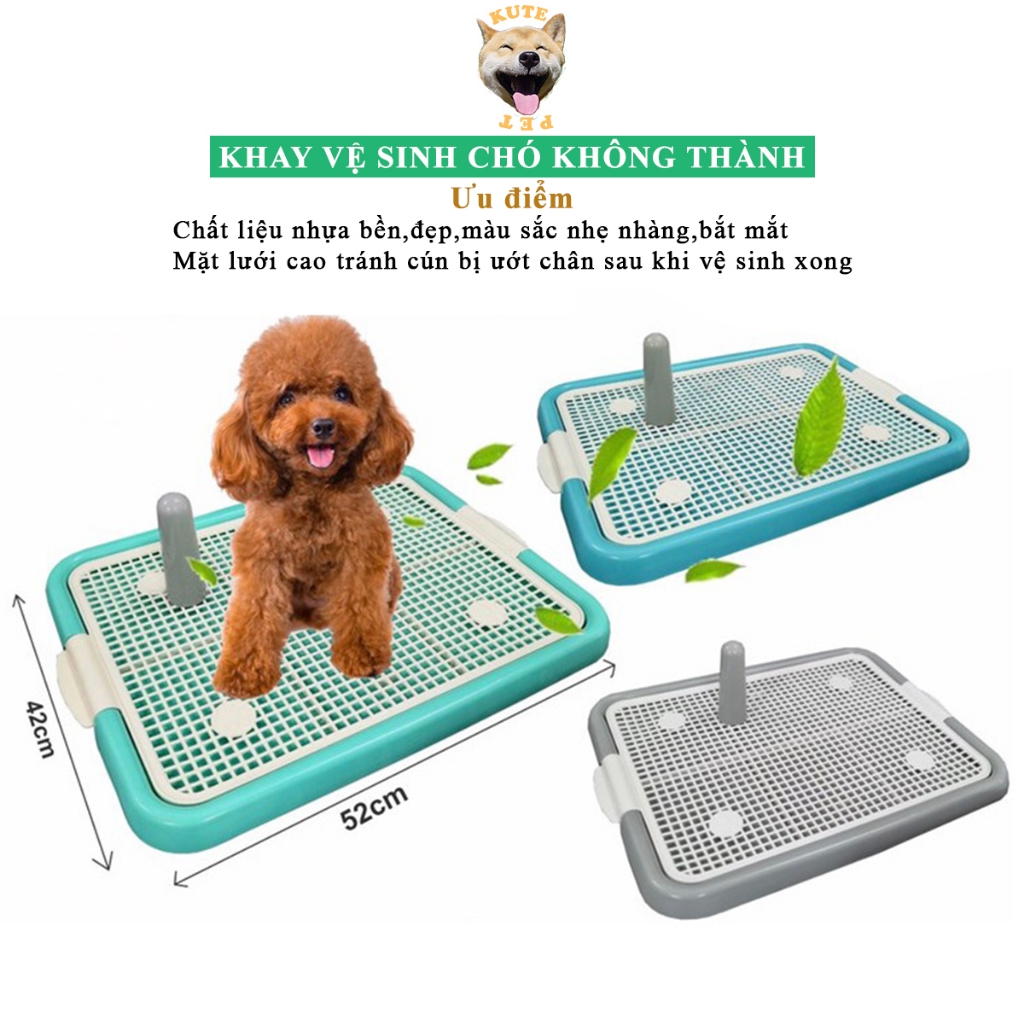 Khay vệ sinh cho chó không thành chắn size lớn