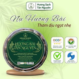 Hương bài Tân Nguyên, nhang thơm thờ cúng, nụ hương bài làm từ rễ cây bài thơm dịu ngọt hộp 45 viên