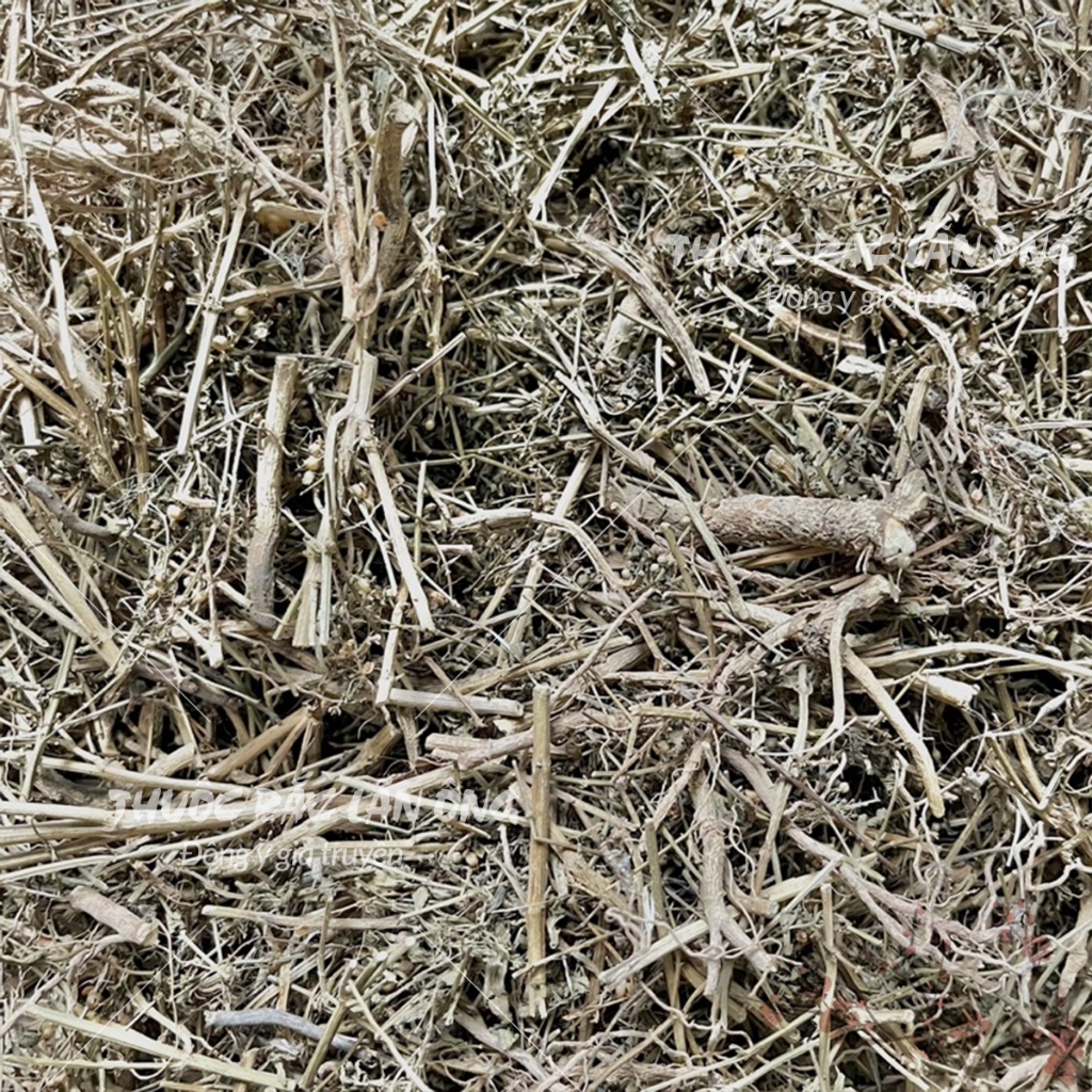 Cam thảo đất 1kg, cây cam thảo nam khô, sạch - Lãn Ông