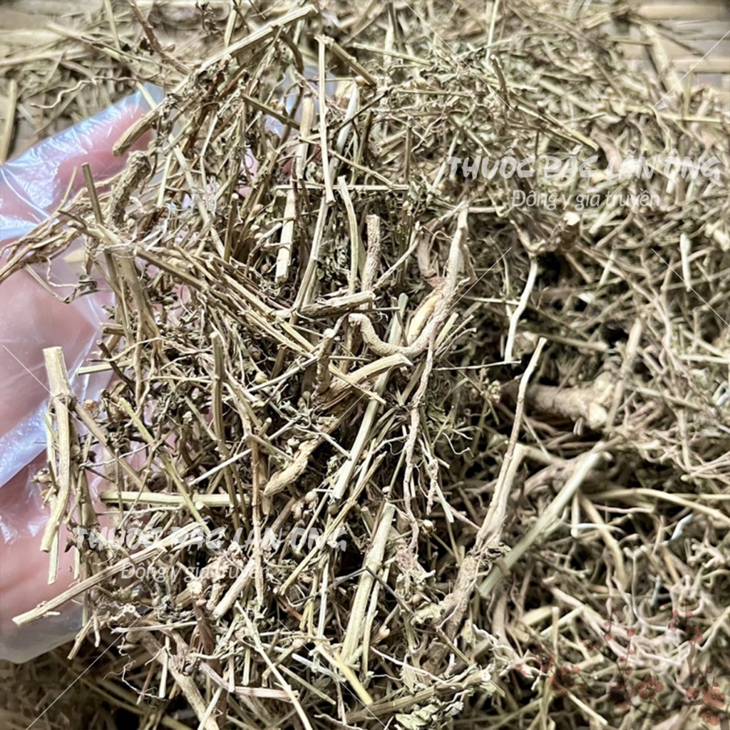 Cam thảo đất 1kg, cây cam thảo nam khô, sạch - Lãn Ông