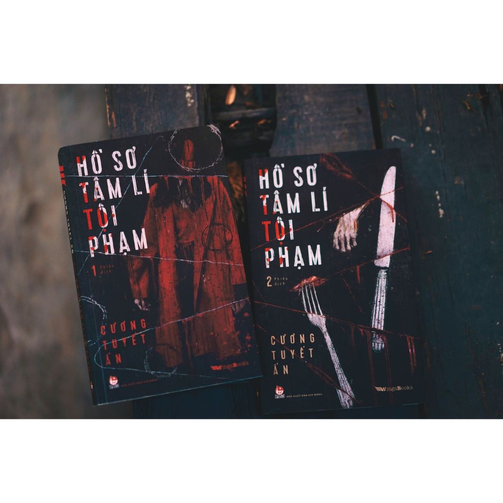 Sách Hồ Sơ Tâm Lý Học Tâm Thần Hay Kẻ Điên