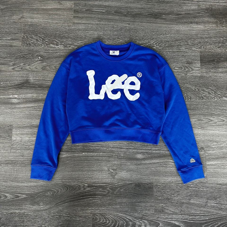 Áo Hoodie LEE KAMI