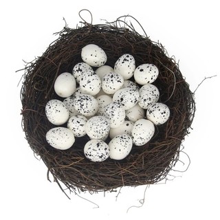 Trứng chim mô phỏng Nemo Decor