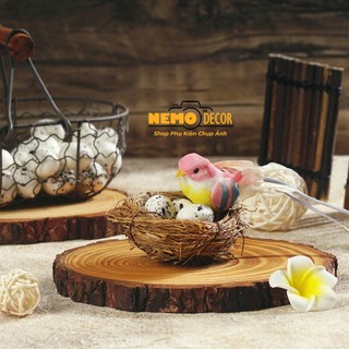 Trứng chim mô phỏng Nemo Decor