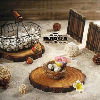Trứng chim mô phỏng Nemo Decor