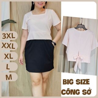 Bigsize công sở - áo cổ vuông đô eo - hồng sọc