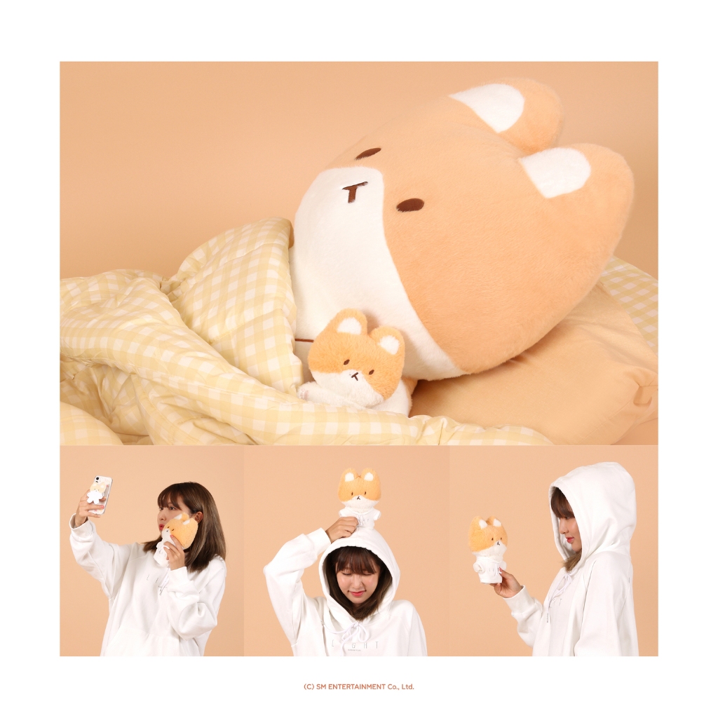 EXO - Thú bông TEO-LAE-GI 20CM & Thẻ AR giọng nói - TEOLAEGI ZIPDURI