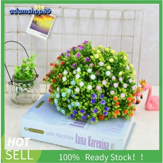 Hoa giả - Cành hoa Sao điểm trang trí decor