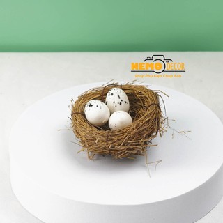 Trứng chim mô phỏng Nemo Decor