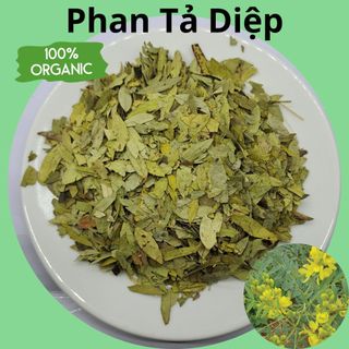 Phan Tả Diệp, túi 100gr lá mới, hàng khô, sạch thơm