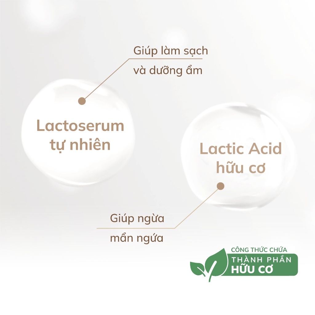 Dung Dịch Vệ Sinh Phụ Nữ Lactacyd Lá Trầu Không