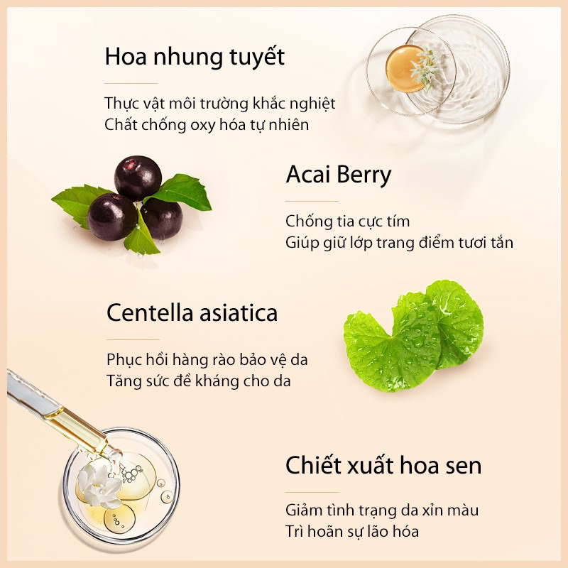 Kem che khuyết điểm PERFECT DIARY Flawless Liquid Concealer