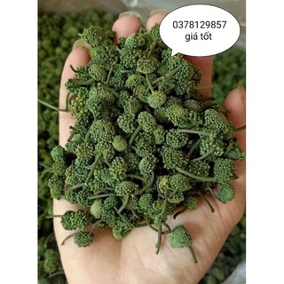 Nụ Tam Thất 500g hàng đẹp nụ xanh, rất nhiều công dụng tốt cho sức khỏe