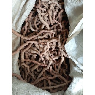 ba kích tím Quảng Ninh 1kg ( cam kết ngâm tím)