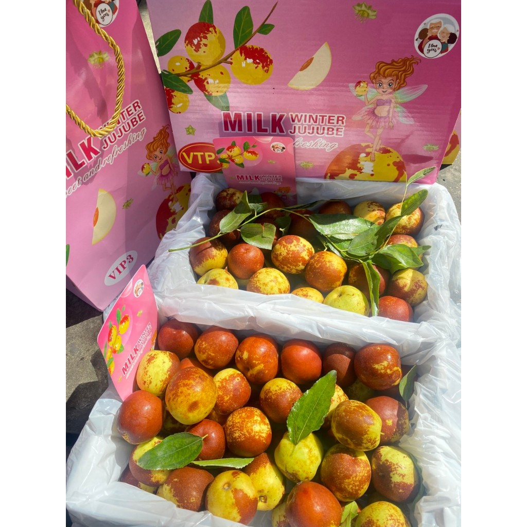 1 Hộp Táo tàu bò sữa giòn ngọt cả thùng 1,5kg.