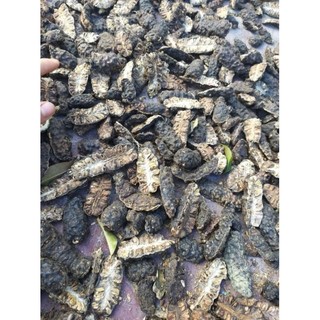 Combo 5kg nhàu sỉ cho khách
