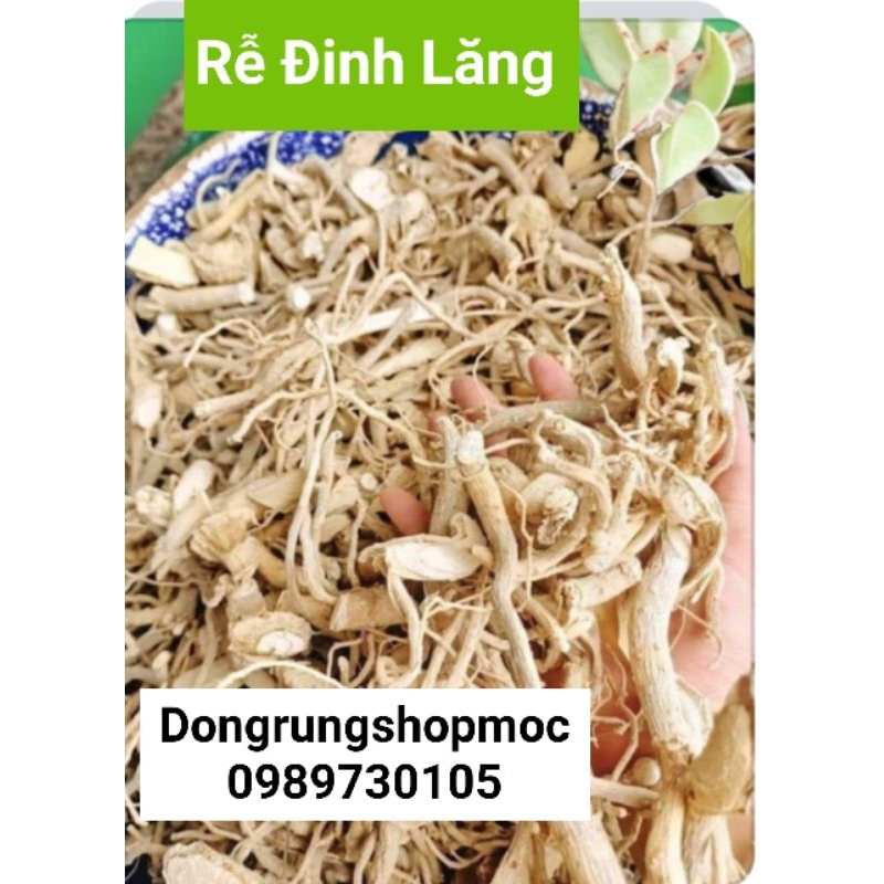 Rễ Đinh lăng nếp khô rễ nhỏ[1kg]