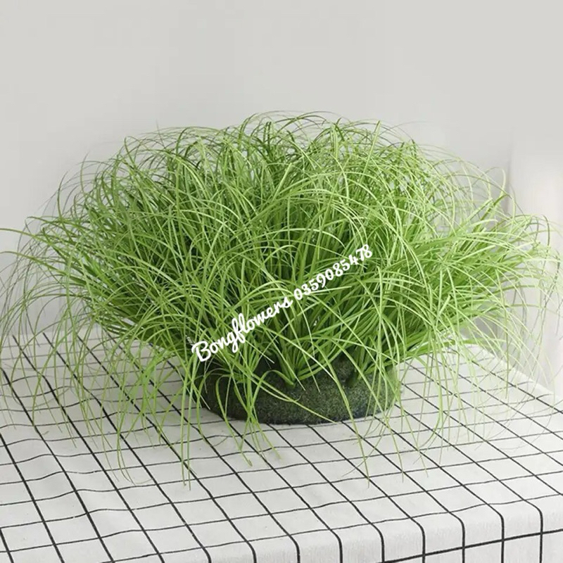 Set 10 cụm cỏ lau giả dài 40cm decor siêu xinh