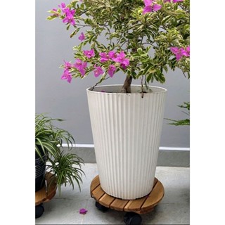 đế chậu cây , đế chậu bông , đế lót đa năng , kê chậu có bánh xe , đế lót chậu , kê chậu , để chậu có bánh xe , kệ chậu