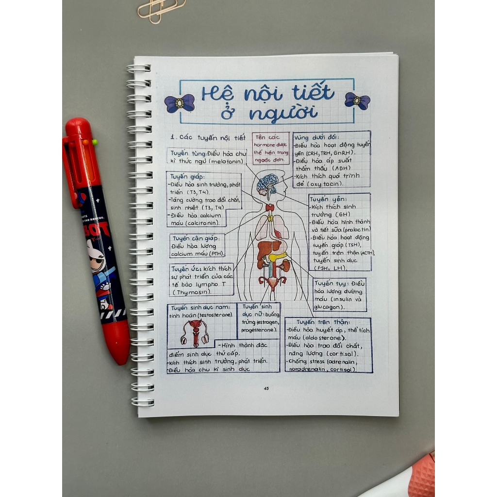 Combo 3 cuốn TAKENOTE trung học cơ sở LÝ- HÓA- SINH