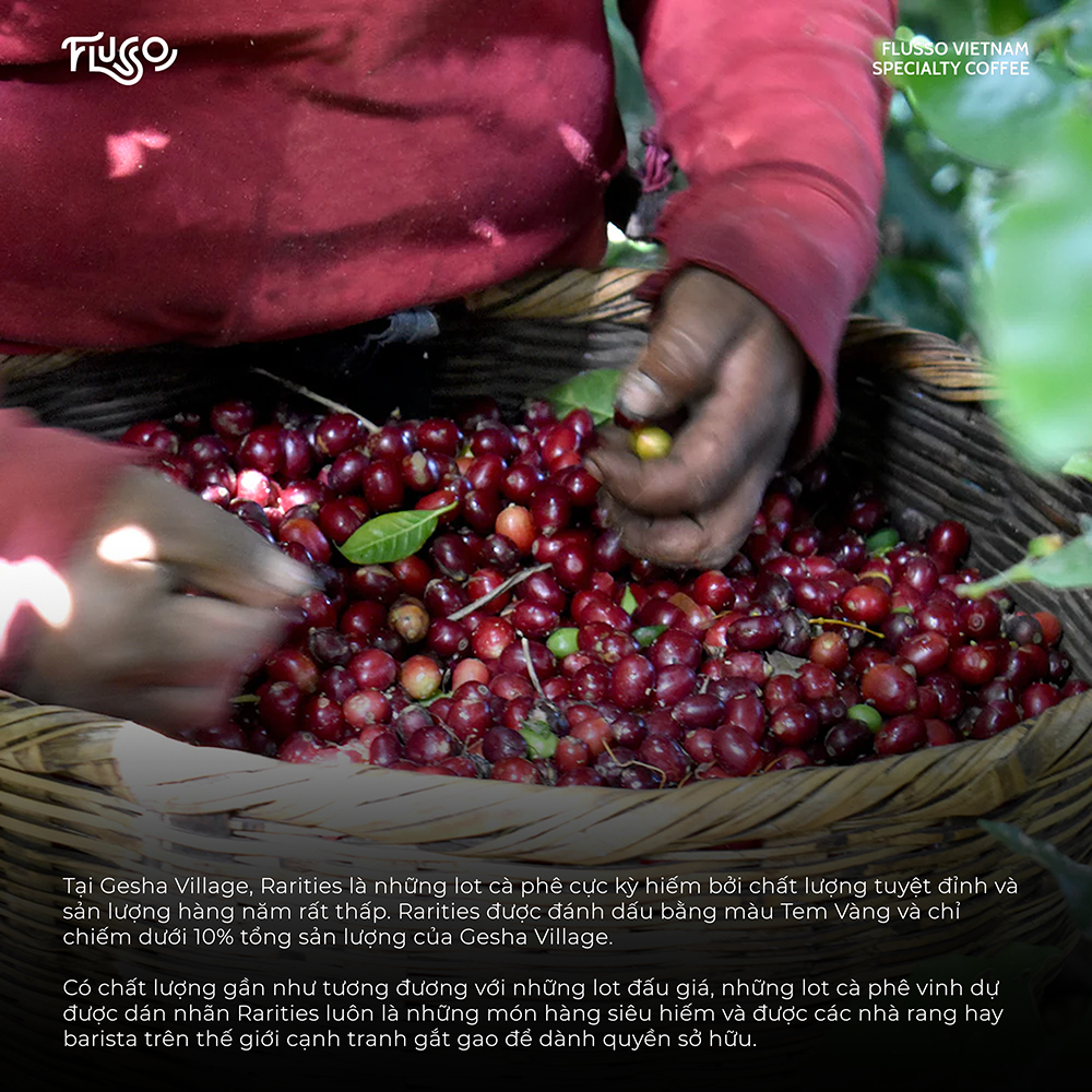 Cà Phê Specialty Ethiopia Narsha Honey Gesha Village