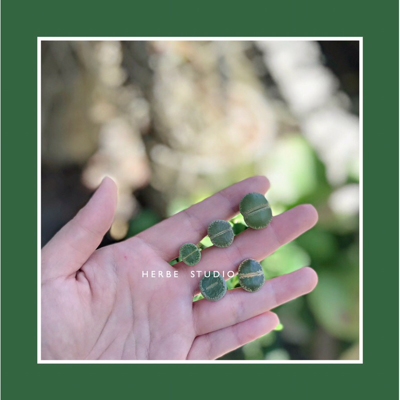 Sen mông - LITHOPS LESLIEI