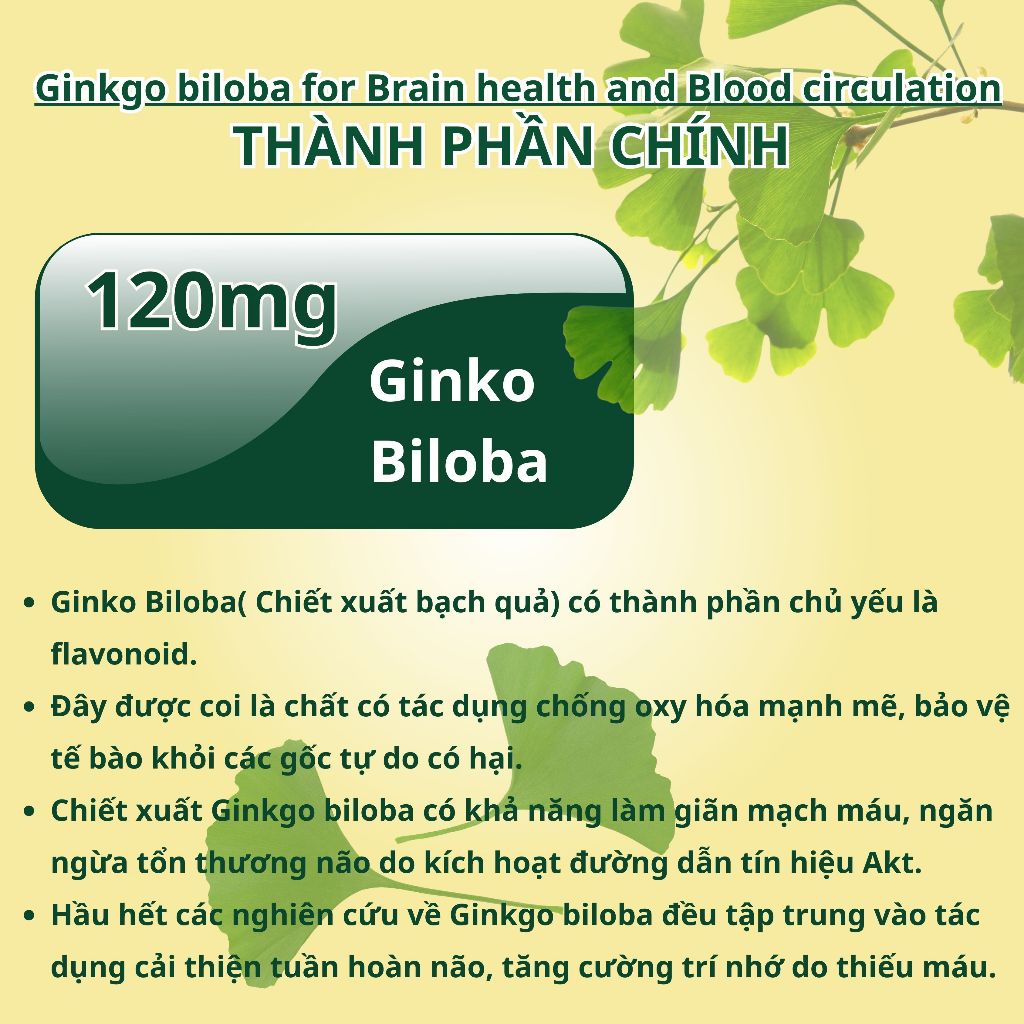 Viên uống bổ não NUTRIONELIFE Ginkgo Biloba Tăng Cường Trí Nhớ,Giảm Đau Đầu,Chóng Mặt,Rối Loạn Tiền Đình 20 Viên