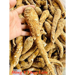 Bạch Chỉ Nguyên Củ [1kg]