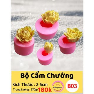 Bộ 4 khuôn silicon hoa Cẩm chướng - B03 - Silicon Hồng Phát