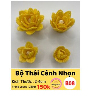 Bộ 4 khuôn silicon hoa thái cánh nhọn - B08 - Silicon Hồng Phát