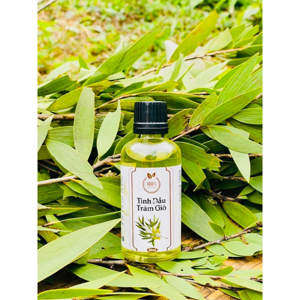 Tinh dầu tràm gió 50ml