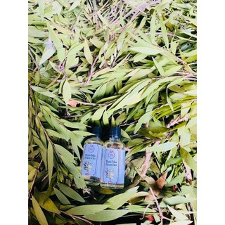 Tinh dầu tràm gió 50ml