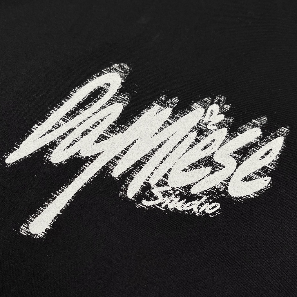 Áo Thun Form Rộng Glossy Tee Damiese