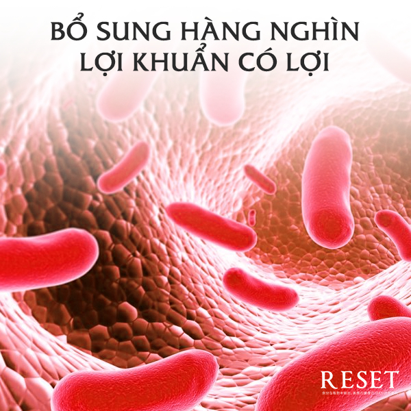 Bột Enzyme uống thanh lọc cơ thể, đào thải mỡ làm đẹp dáng, bột Enzyme RESET - Hộp 30 gói