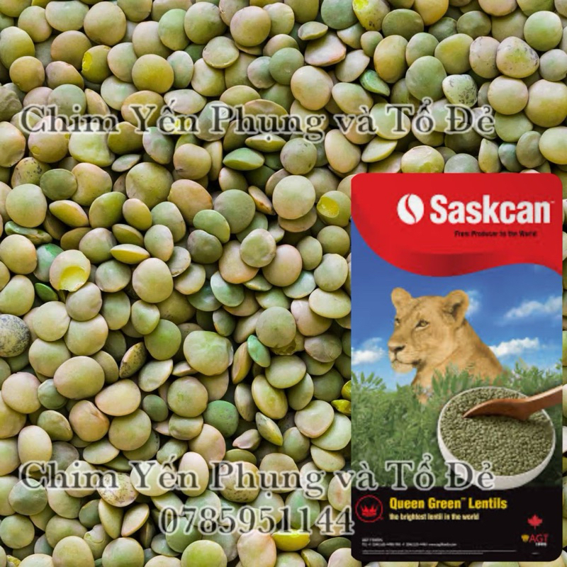 1kg đậu lăng xanh (green lentils) - xuất xứ: Canada 🇨🇦