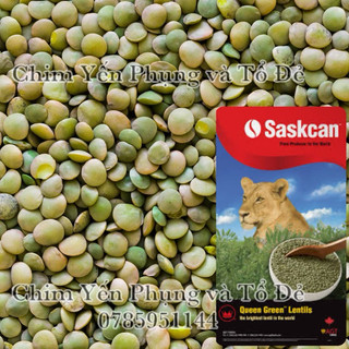1kg đậu lăng xanh - xuất xứ: Canada 🇨🇦
