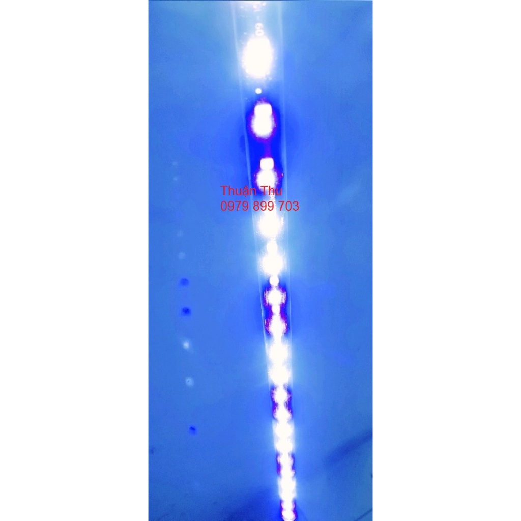 Đèn led chìm Caibao cho bể cá nhiều màu vàng/trắng/hồng/trắng xanh/xanh dương 80 100 120cm