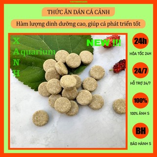 Thức ăn dán cho cá cảnh thủy sinh