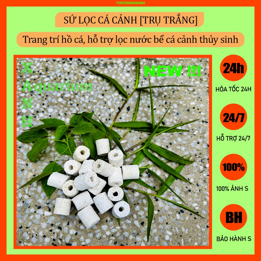 Vật liệu lọc nước hồ cá cảnh thủy sinh