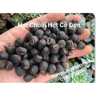 Hạt chuối cô đơn sạch 1kg rừng kon tum